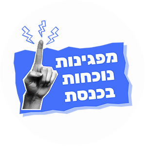 מפגינות נוכחות בכנסת